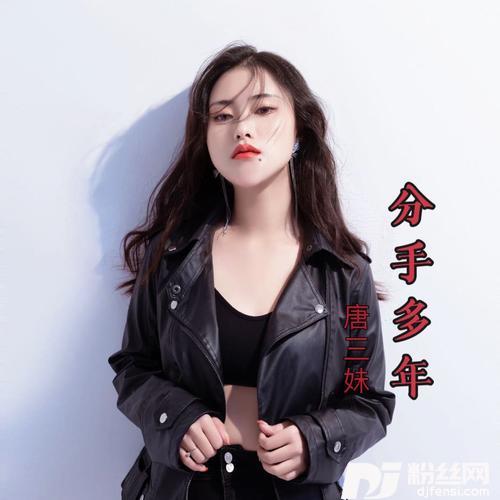 分手多年的专辑