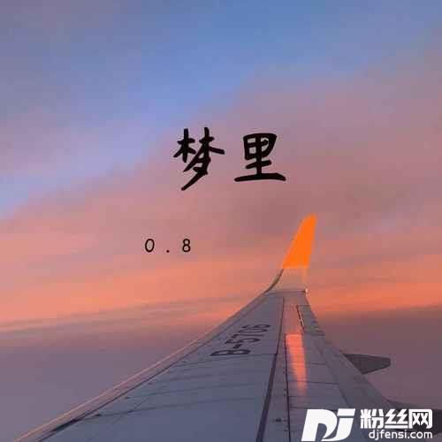 梦里0.8降速版的专辑