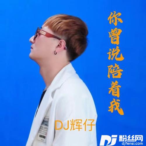 你曾说陪着我的专辑