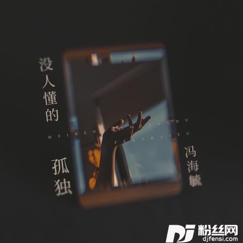 没人懂的孤独DJ武圣雄版