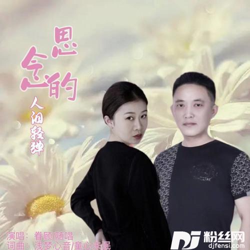 思念的人泪轻弹