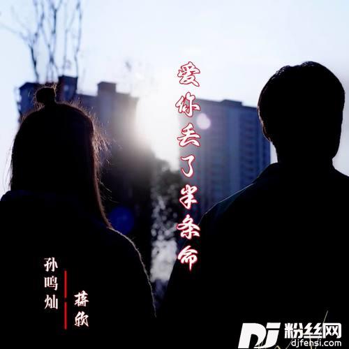 爱你丢了半条命