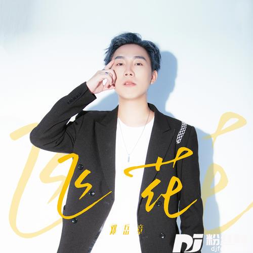 飞花DJ阿卓版的专辑