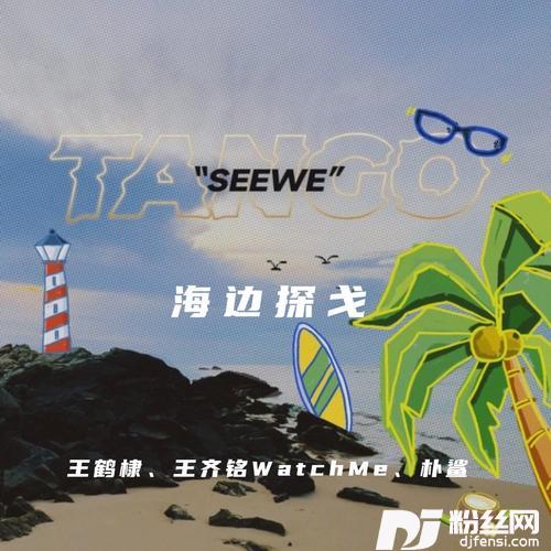 海边探戈DJEland小弟remix