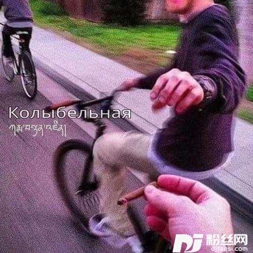 КолыбельнаяKarmaTenzingRemix的专辑