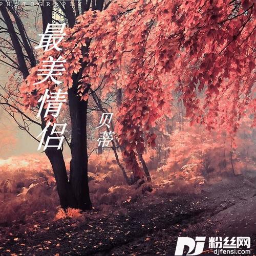 80000的专辑