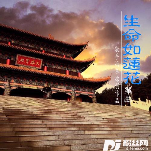 生命如莲花的专辑