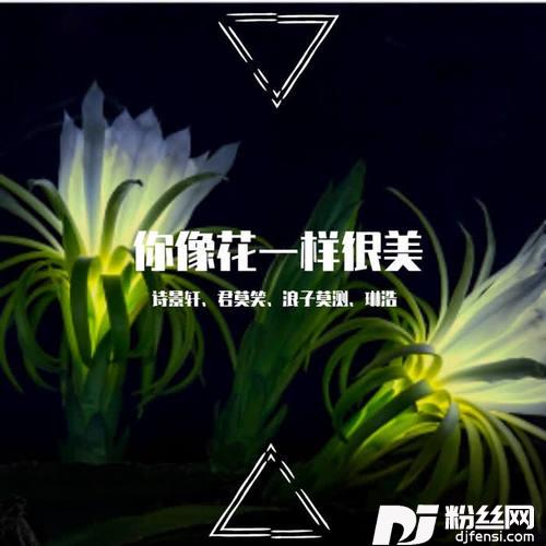 爱情堡垒DJ版