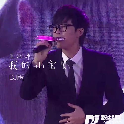 你是我的小宝贝（DJ版）的专辑