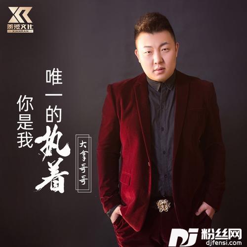 你是我唯一的执（DJ版）的专辑