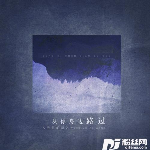 从你身边路过