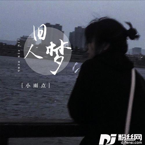 旧人梦DJ默涵版