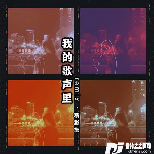 我的歌声里remix