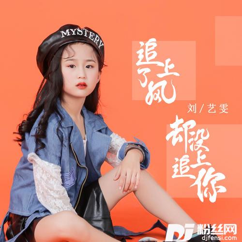 追上了风却没追上你