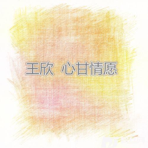 习惯失眠的专辑