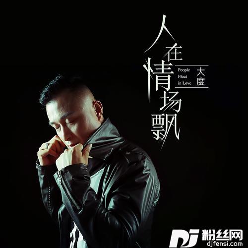 人在情场飘DJ默涵版