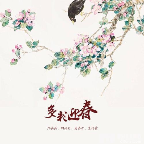 多彩迎春2019贵州春晚