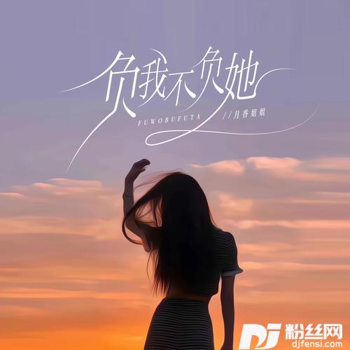 负我不负她的专辑