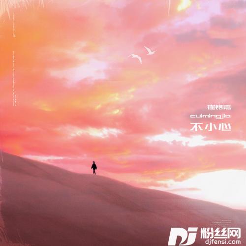 不小心的专辑