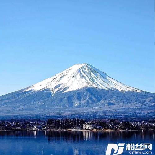 WhyOhWhy热搜DJ舞曲