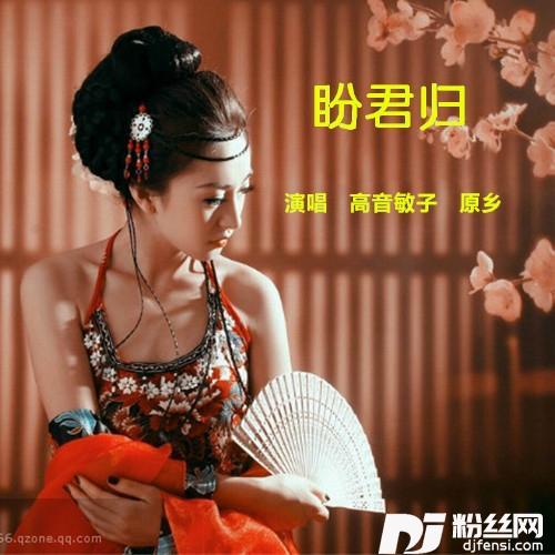 盼君归