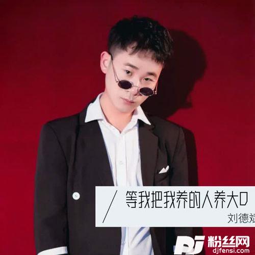等我把我养的人养大（劲爆DJ版）
