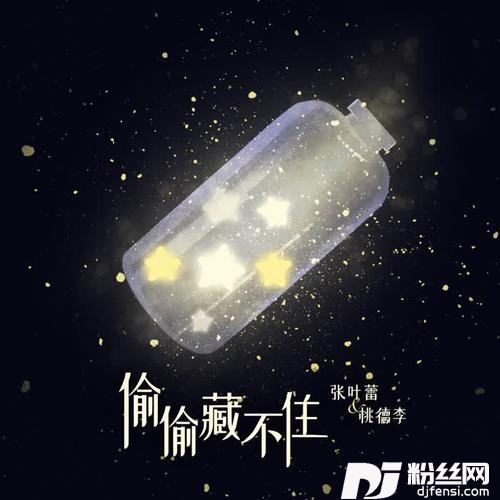 偷偷藏不住（非官方小说发烧友追星歌曲）