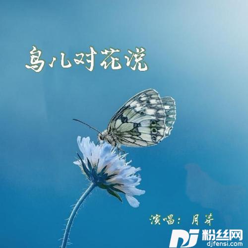 鸟儿对花儿说DJcover:胡蜜丹