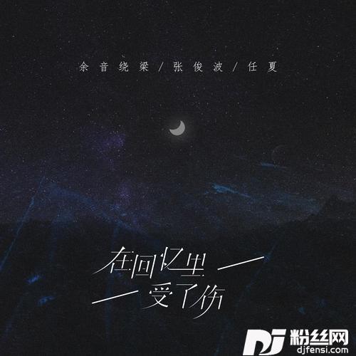 在回忆里受了伤的专辑