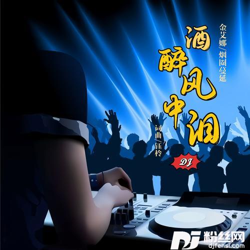 酒醉风中泪DJ默涵版的专辑