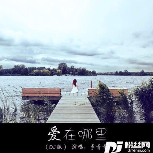 爱在哪里DJ版