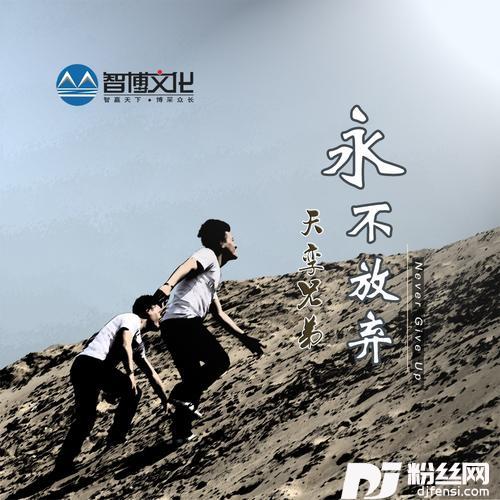 永不放弃的专辑