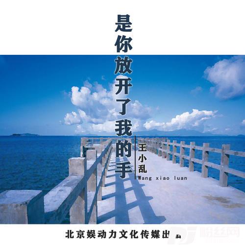 是你放开了我的手