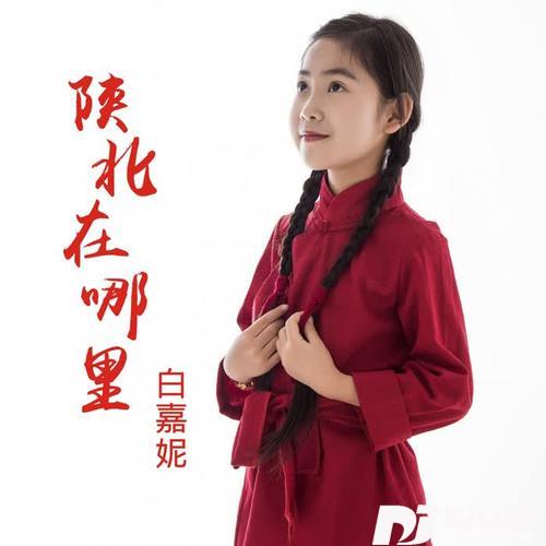 陕北在哪里（舞曲版）的专辑