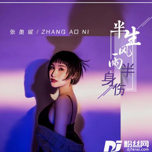 半生风雨半身伤DJ版的专辑
