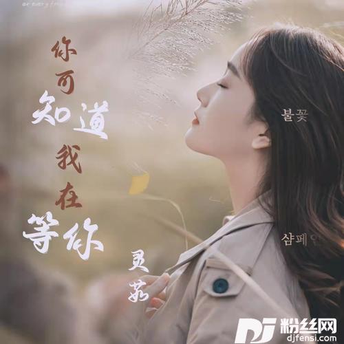 你可以知道我在等你