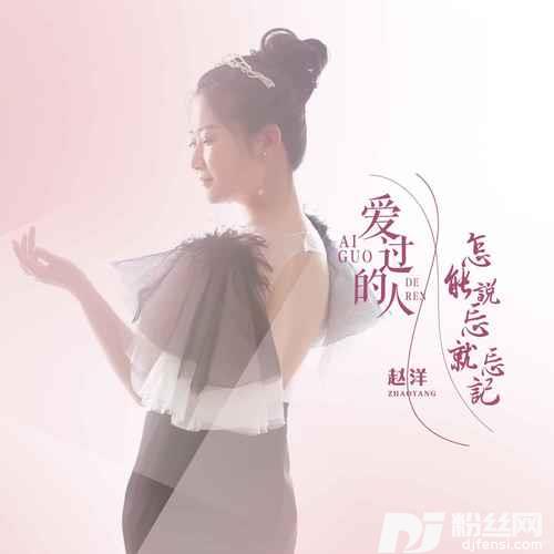 爱过的人怎能说忘就忘记的专辑