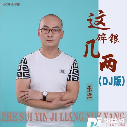 这碎银几两DJheap九天版