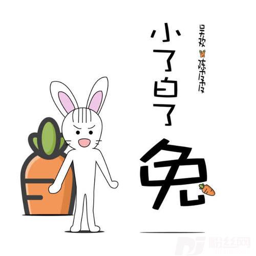 小了白了兔