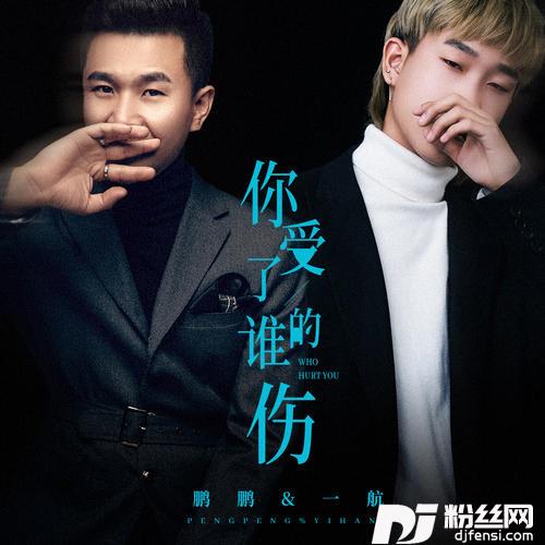 你受了谁的伤的专辑