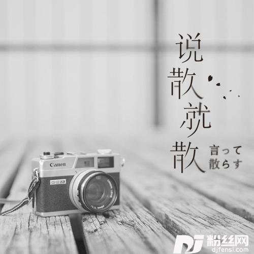 说散就散新版