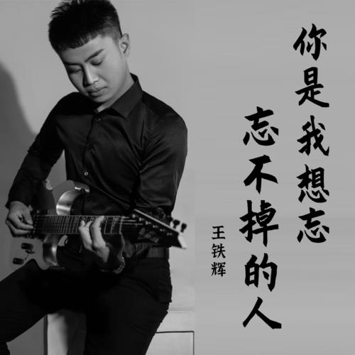 你是我想忘忘不掉的人DJ默涵版的专辑