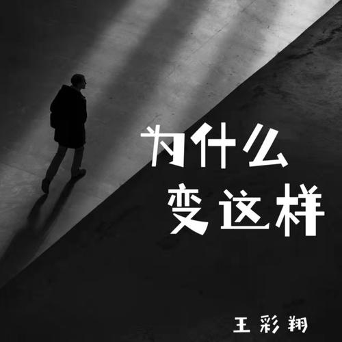 为什么变这样的专辑