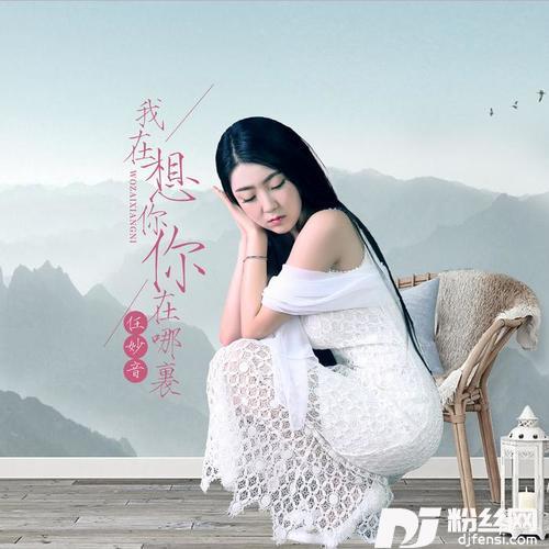 我在想你你在哪里DJ何鹏版的专辑