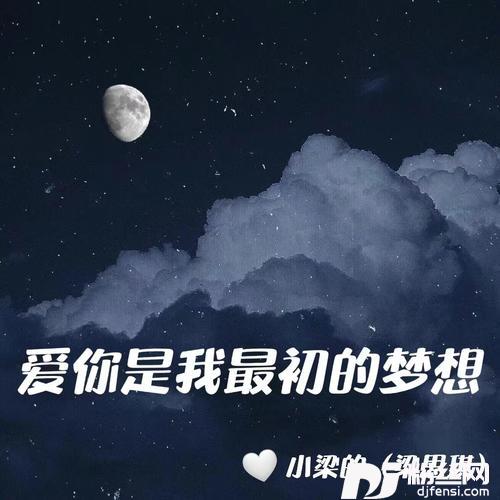 爱你是我最初的梦想的专辑