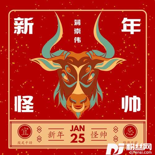 新年怪帅