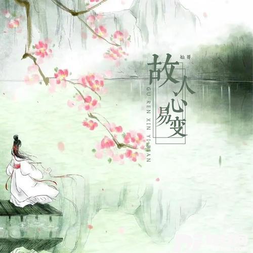 故人心易变DJ名龙版的专辑