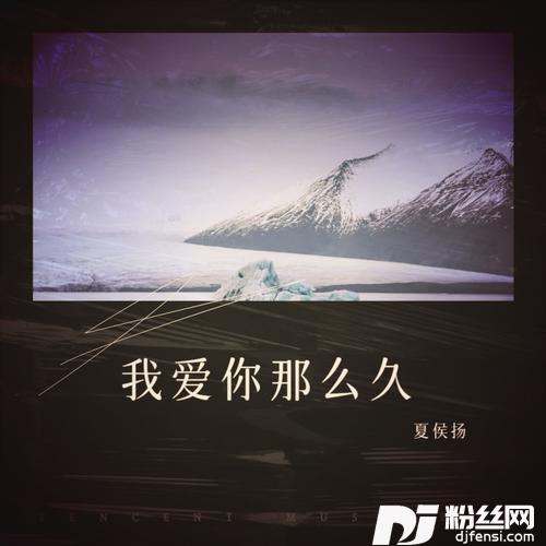 我爱你那么久