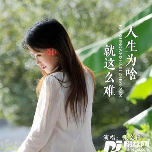 人生为啥就这么难