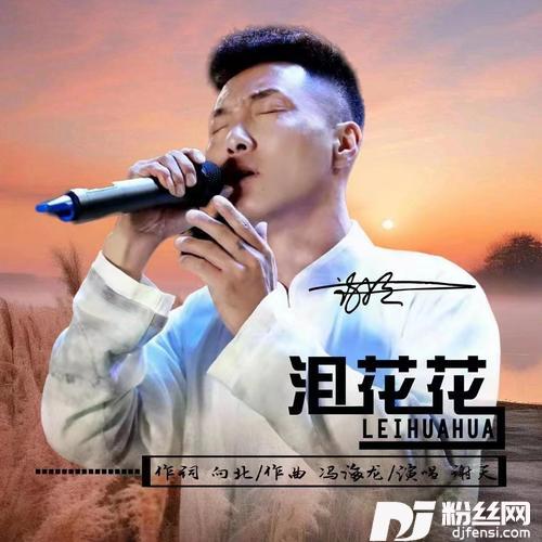 泪花花DJ默涵版的专辑